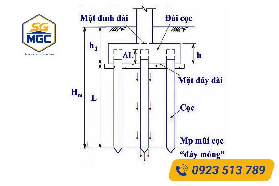 Cấu tạo móng cọc